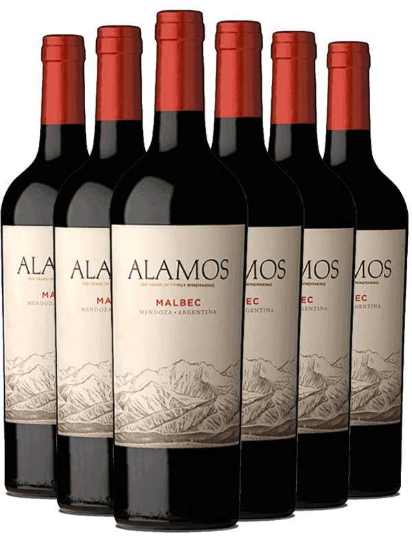 Kit 6 Garrafas Vinho Tinto Álamos Malbec 750 mL