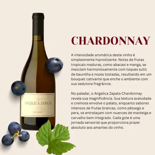 4 Unidades Vinho Argentino Tinto Angélica Zapata Chardonnay