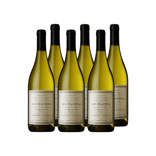 Dv Catena Chardonnay Chardonnay Cx 6 und 2021 